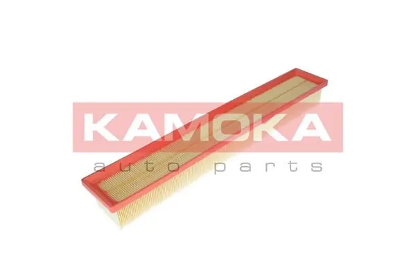 F220101 Kamoka