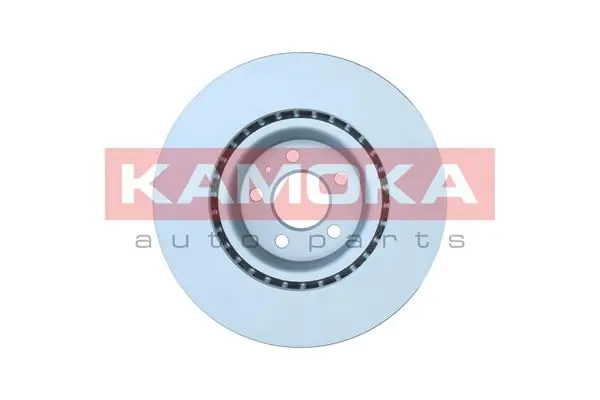 103114 Kamoka
