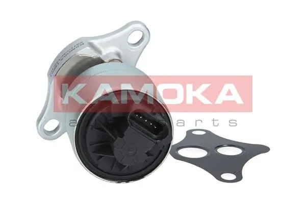 19001 Kamoka
