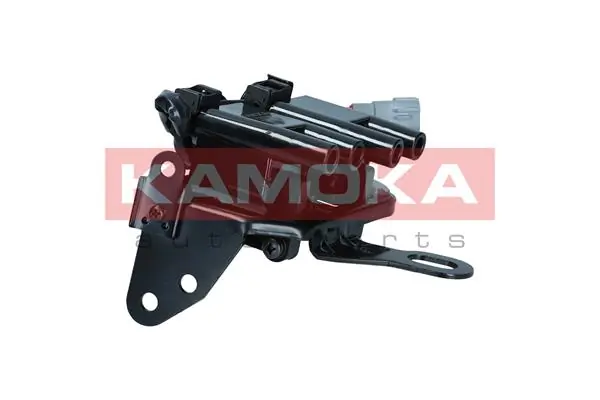 7120097 Kamoka