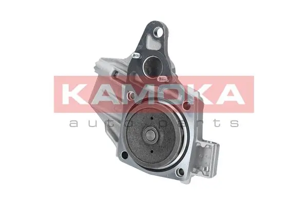 T0239 Kamoka