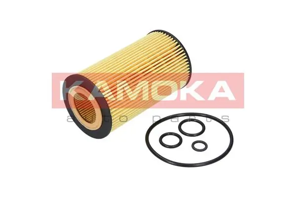F108001 Kamoka