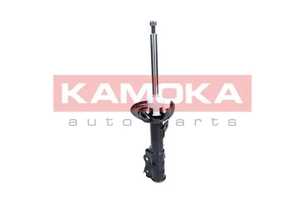 2000488 Kamoka