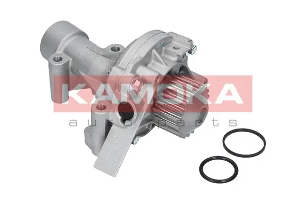 T0090 Kamoka
