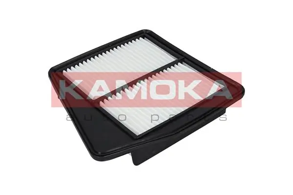 F225501 Kamoka