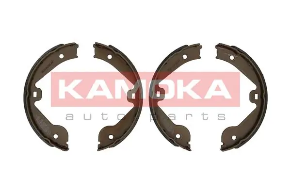 JQ212029 Kamoka