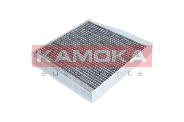 F503701 Kamoka