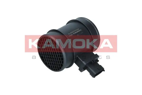 18067 Kamoka