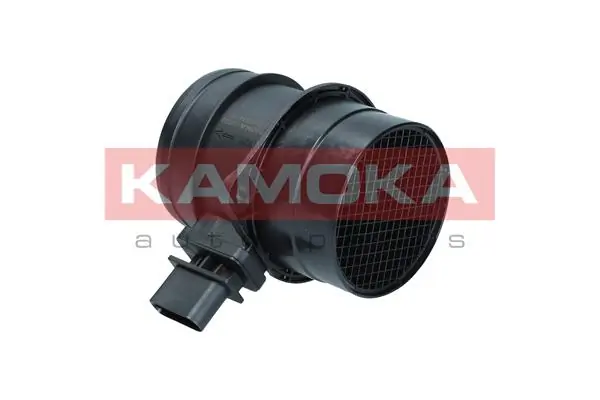 18039 Kamoka