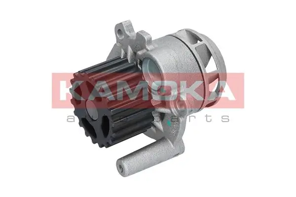 T0025 Kamoka