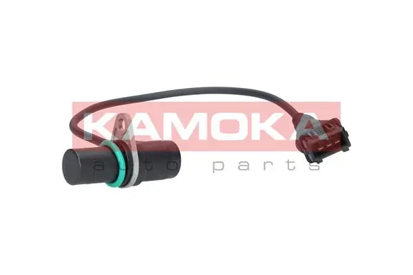 108010 Kamoka