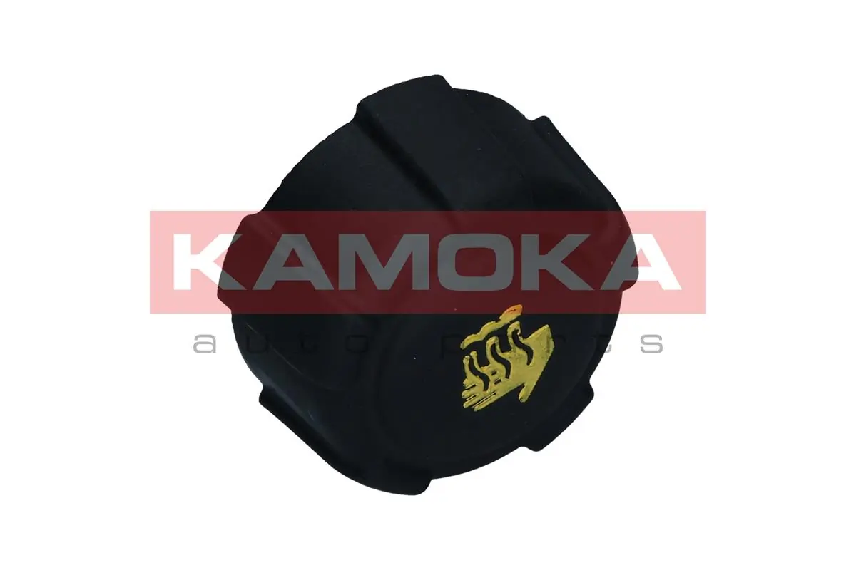 7729015 Kamoka