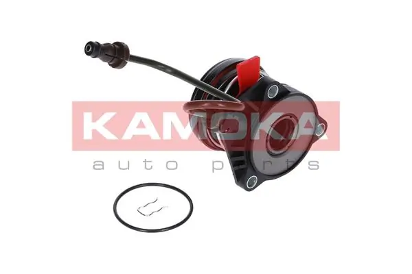CC013 Kamoka
