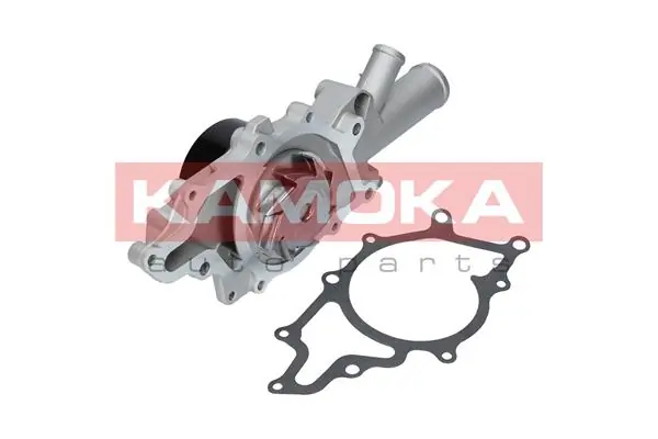 T0196 Kamoka