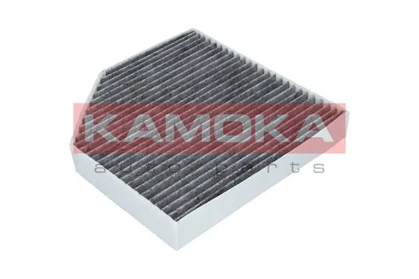 F509301 Kamoka