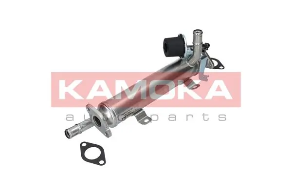 19074 Kamoka