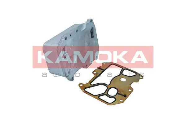 7730071 Kamoka