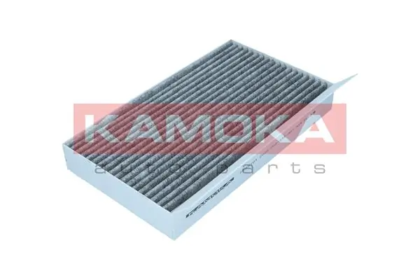 F509101 Kamoka