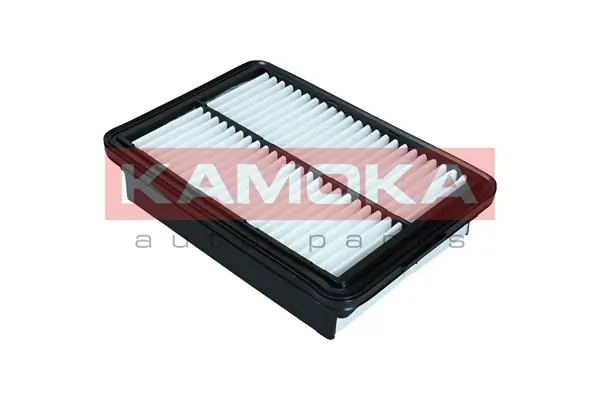 F252001 Kamoka