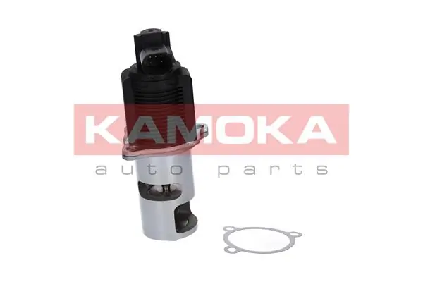 19015 Kamoka