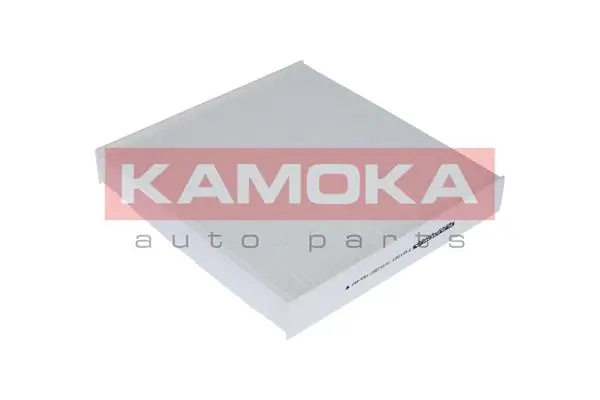 F401001 Kamoka