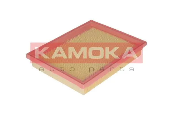 F210401 Kamoka