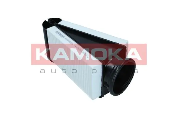 F253201 Kamoka
