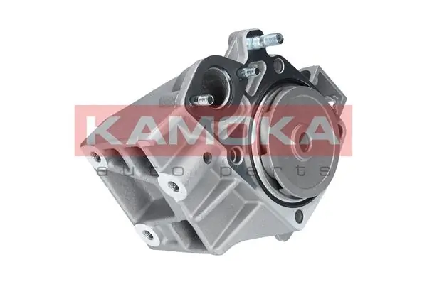 T0098 Kamoka