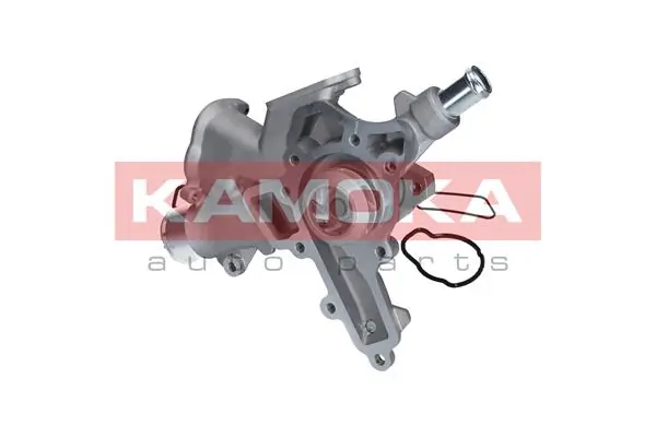 T0225 Kamoka