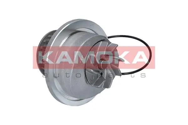 T0235 Kamoka