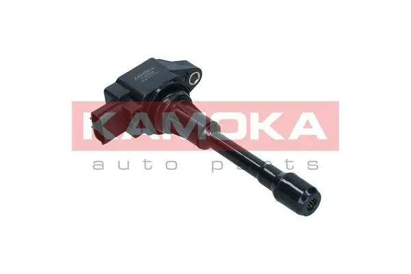 7120086 Kamoka