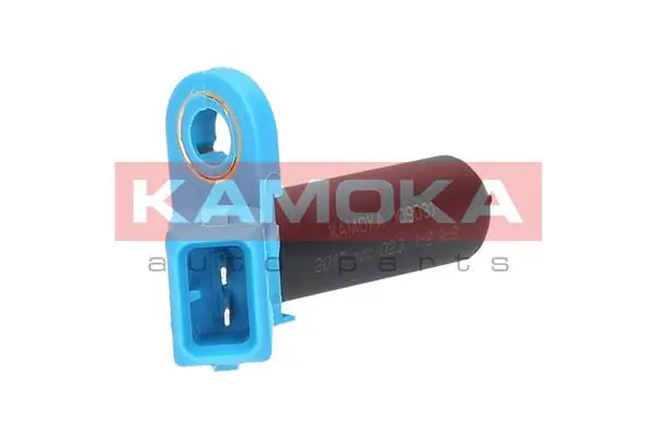 109031 Kamoka