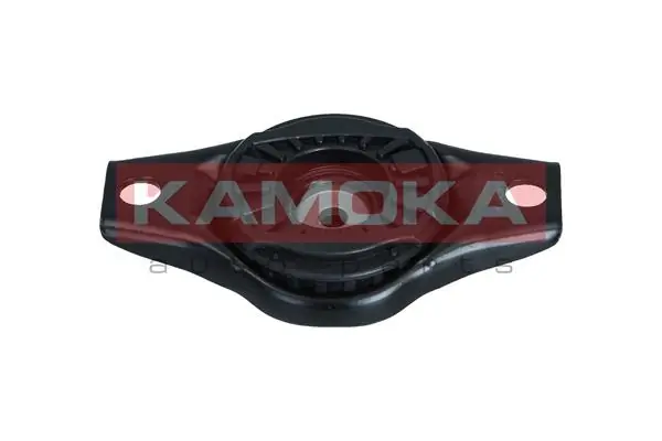 209236 Kamoka