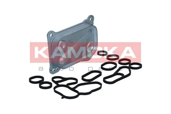7730032 Kamoka
