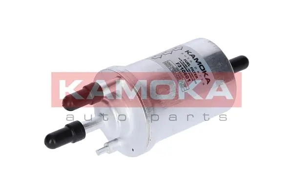 F310601 Kamoka