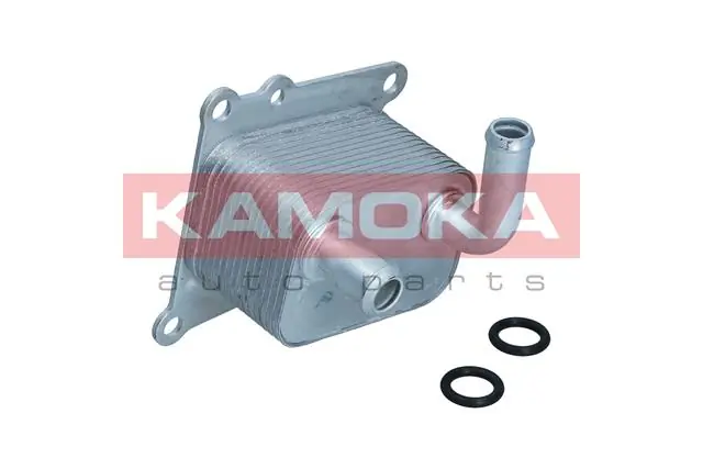 7730048 Kamoka