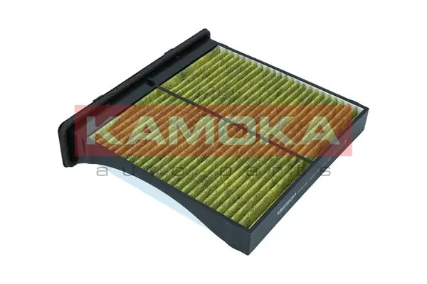 6080166 Kamoka