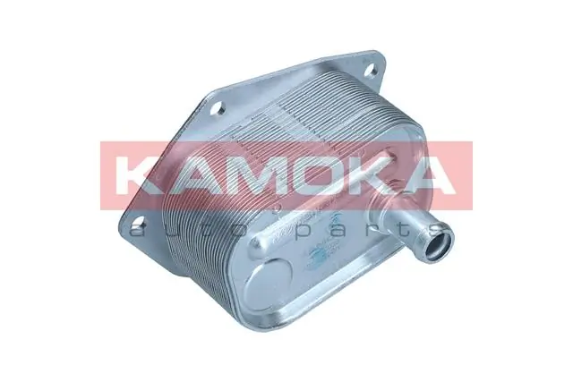 7730038 Kamoka