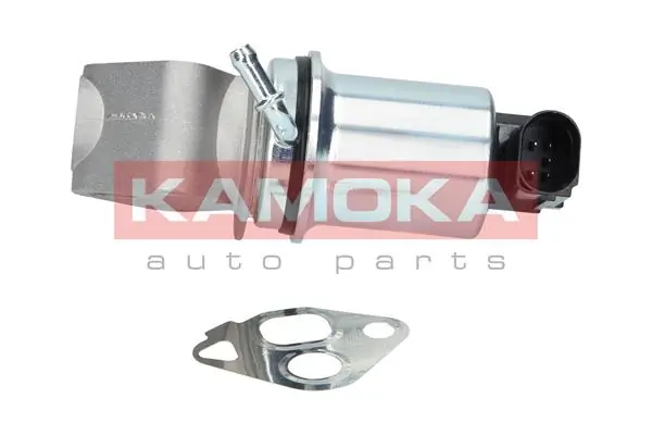 19004 Kamoka