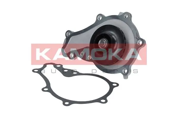 T0087 Kamoka