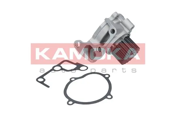 T0179 Kamoka