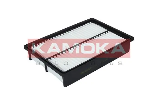 F211701 Kamoka