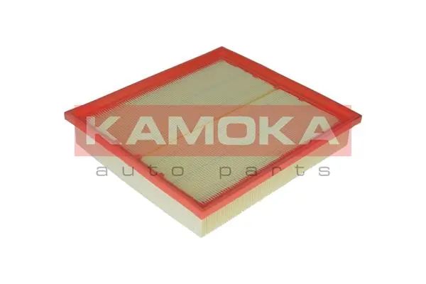 F217801 Kamoka