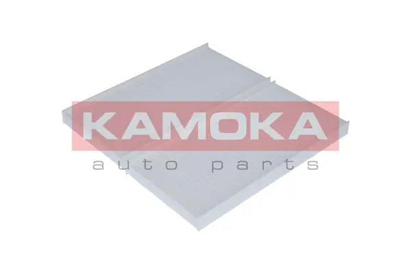 F402901 Kamoka