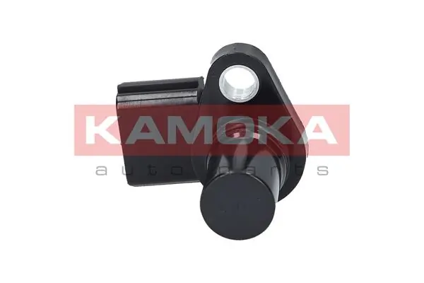 109011 Kamoka