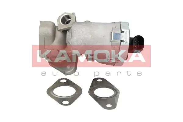 19030 Kamoka