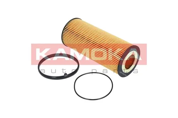 F110601 Kamoka