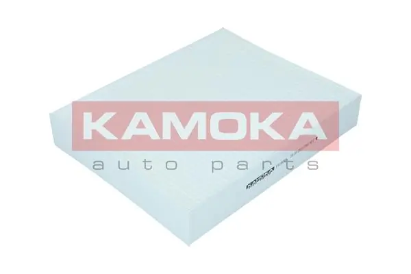 F419001 Kamoka