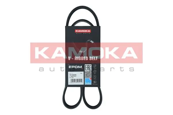 7016029 Kamoka