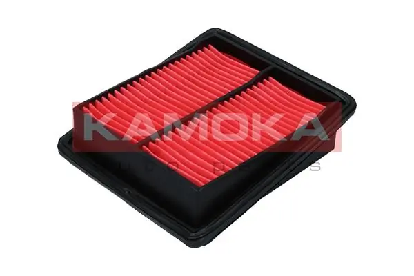 F245301 Kamoka